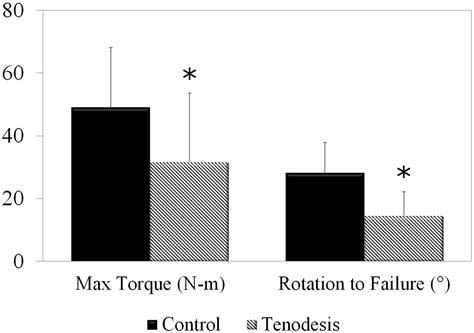 interference.screw torsional testing|Biomechanical Analysis of All.